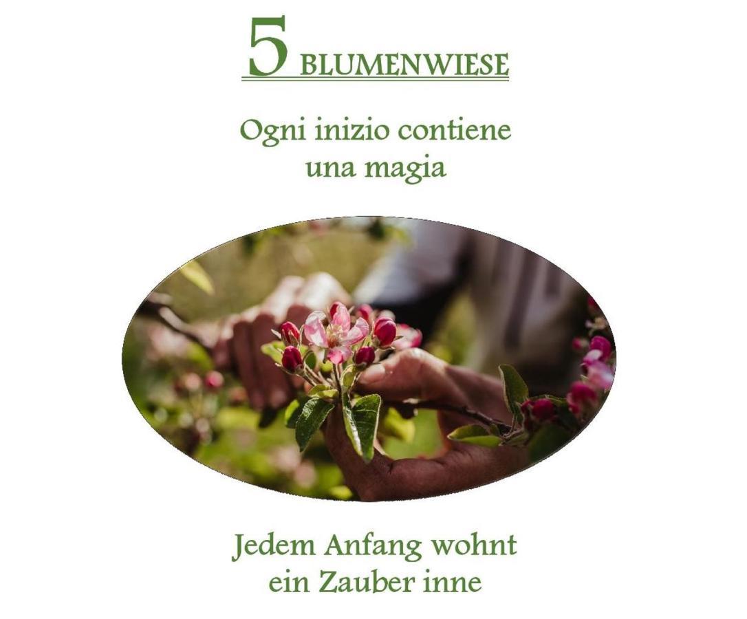Ferienwohnungen Kaltenbachhof - Urlaub Auf Dem Biobauernhof Parcines Dış mekan fotoğraf