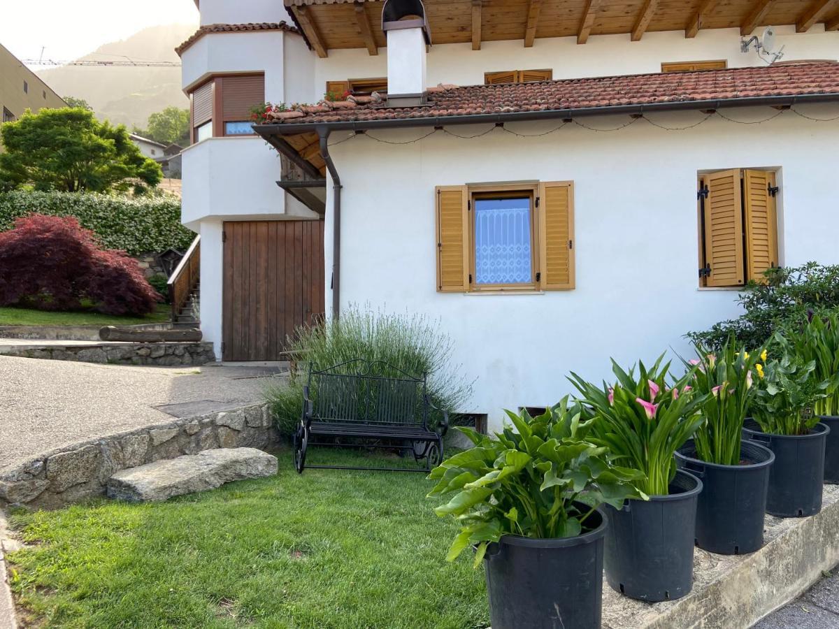 Ferienwohnungen Kaltenbachhof - Urlaub Auf Dem Biobauernhof Parcines Dış mekan fotoğraf